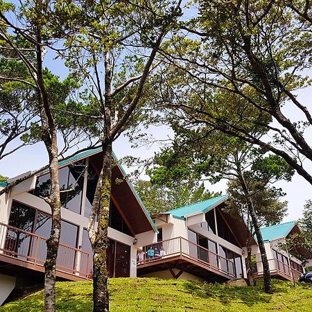 Green Forest Rustic Houses Monteverde Eksteriør bilde