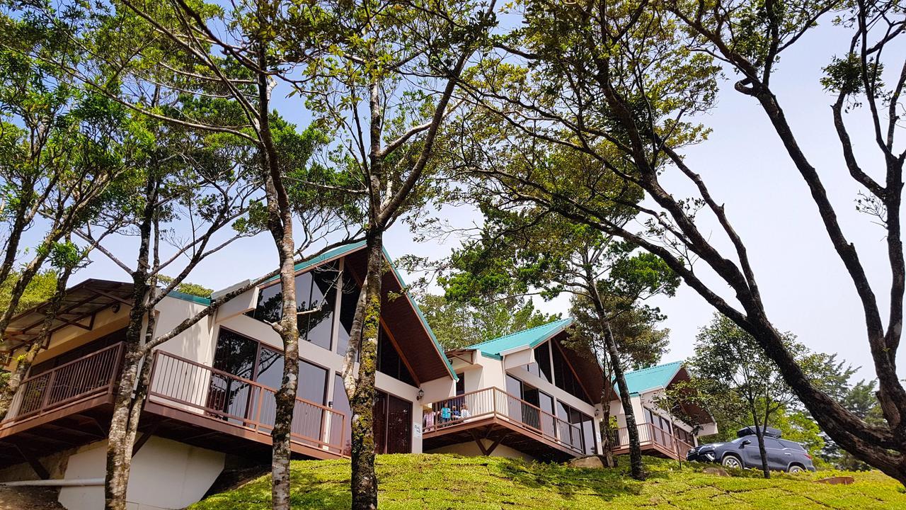 Green Forest Rustic Houses Monteverde Eksteriør bilde